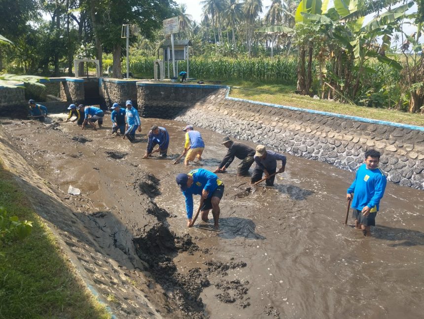 IMG-20251009-WA0039-860x647