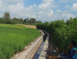 IMG-20251022-WA0021_2