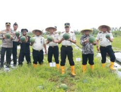 imebrslglp_whatsapp-image-2026-01-15-at-153525