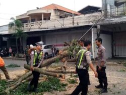 1771053394_b918ffd387a440b45c10