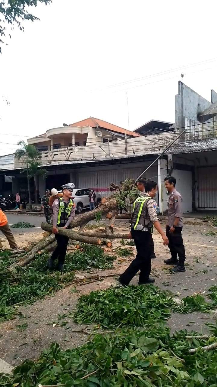 1771053394_b918ffd387a440b45c10