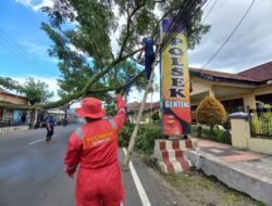 IMG-20260204-WA0267-768x576