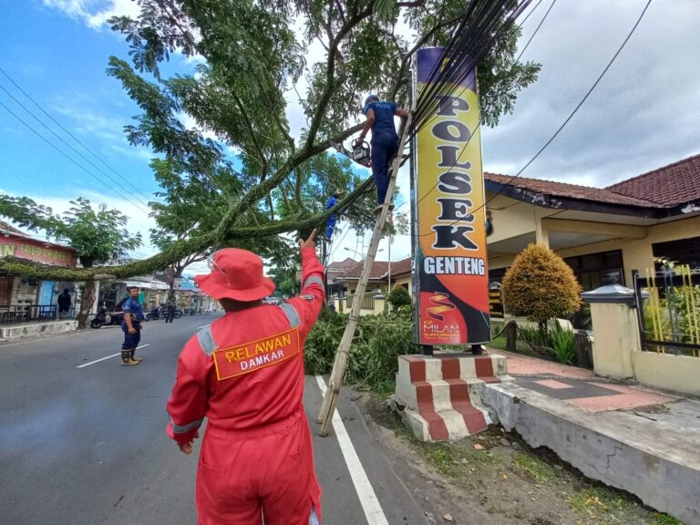 IMG-20260204-WA0267-768x576