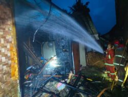 IMG-20260207-WA0359-768x576