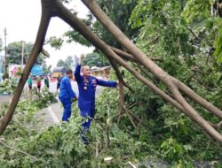 IMG-20260226-WA0156-768x576