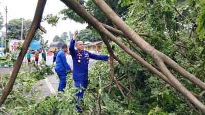 IMG-20260226-WA0156-768x576