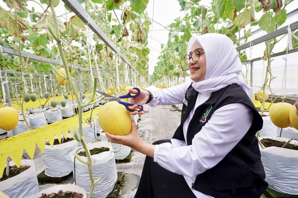 idlmavksop_whatsapp-image-2026-02-25-at-213913