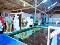 lvidikqvey_whatsapp-image-2026-02-24-at-205005