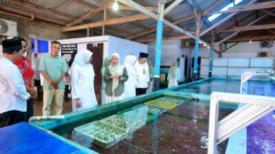 lvidikqvey_whatsapp-image-2026-02-24-at-205005