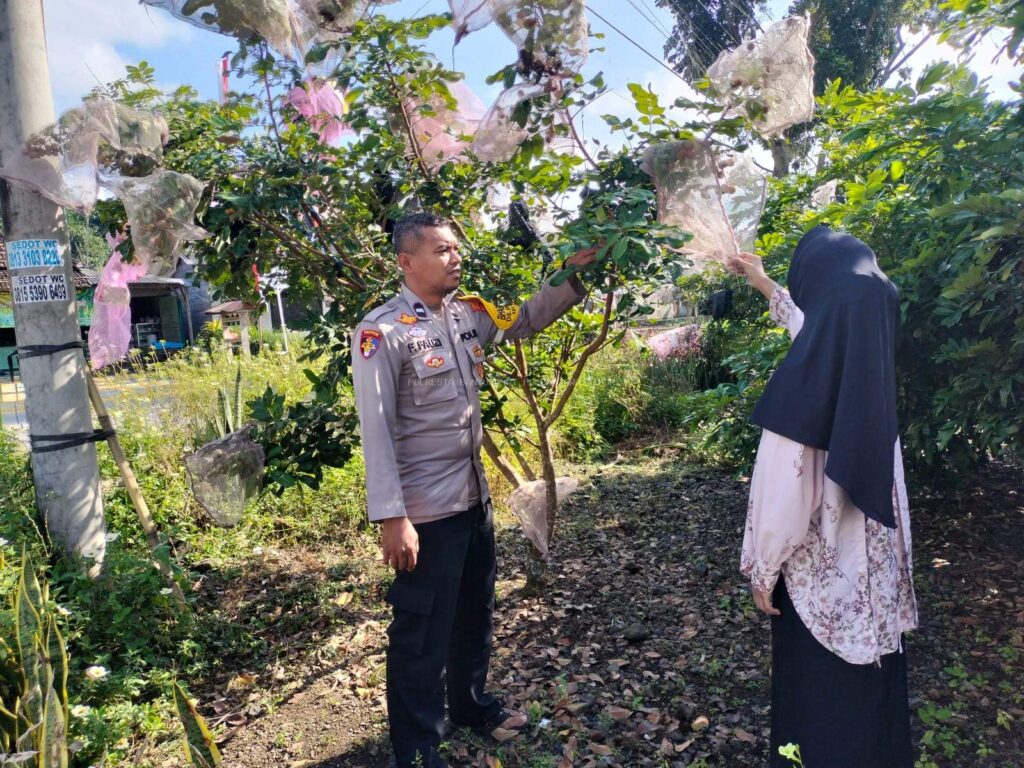 1774413304_a66ca8d25622a7c7345f