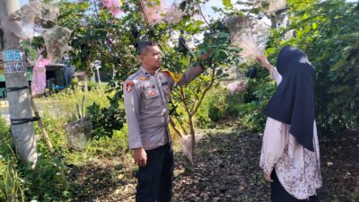 1774413304_a66ca8d25622a7c7345f