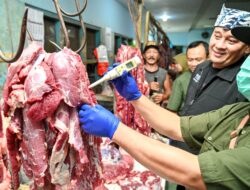 pblnfsbxpn_whatsapp-image-2026-03-11-at-103810