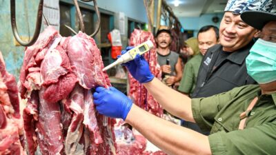 pblnfsbxpn_whatsapp-image-2026-03-11-at-103810