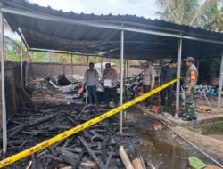 IMG-20260426-WA0258-768x576