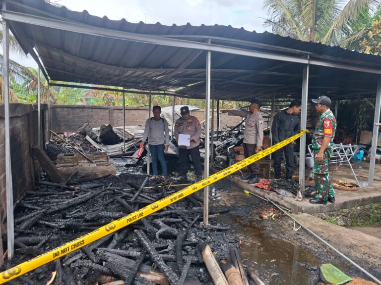 IMG-20260426-WA0258-768x576