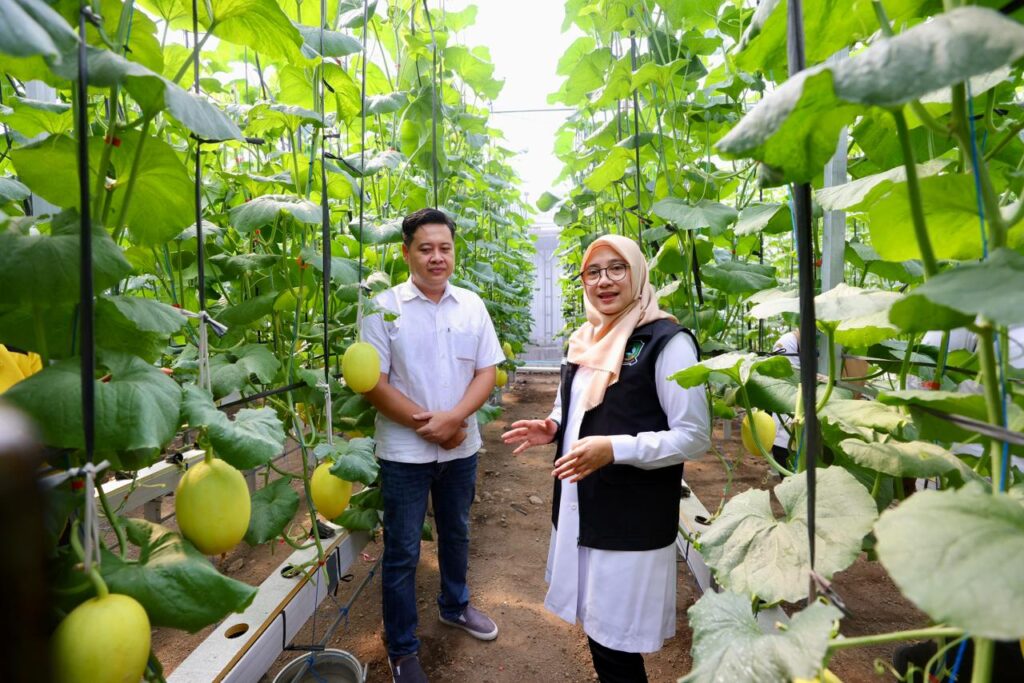 dsotwghlxa_whatsapp-image-2026-04-30-at-155351