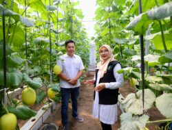 dsotwghlxa_whatsapp-image-2026-04-30-at-155351