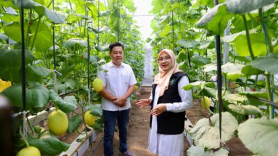 dsotwghlxa_whatsapp-image-2026-04-30-at-155351