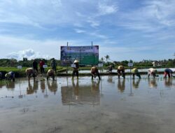 dthikpvifh_whatsapp-image-2026-04-24-at-172927