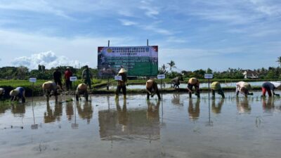 dthikpvifh_whatsapp-image-2026-04-24-at-172927