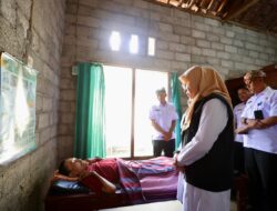 labodboee__whatsapp-image-2026-04-29-at-124107