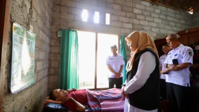 labodboee__whatsapp-image-2026-04-29-at-124107