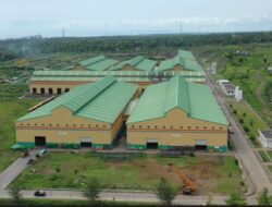 wnopxvhgyd_whatsapp-image-2026-04-10-at-160912